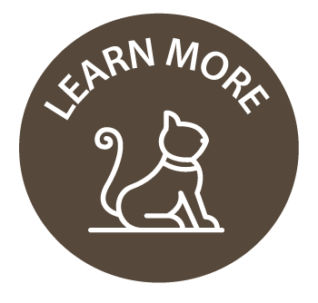 Learn-more-icon_dark-brown.png